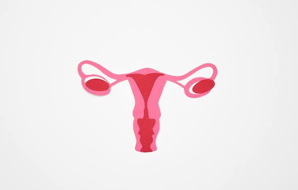 Female fertility preservation guide