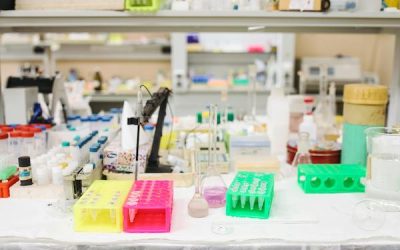 Our Guide to Female Fertility Preservation and Egg Freezing